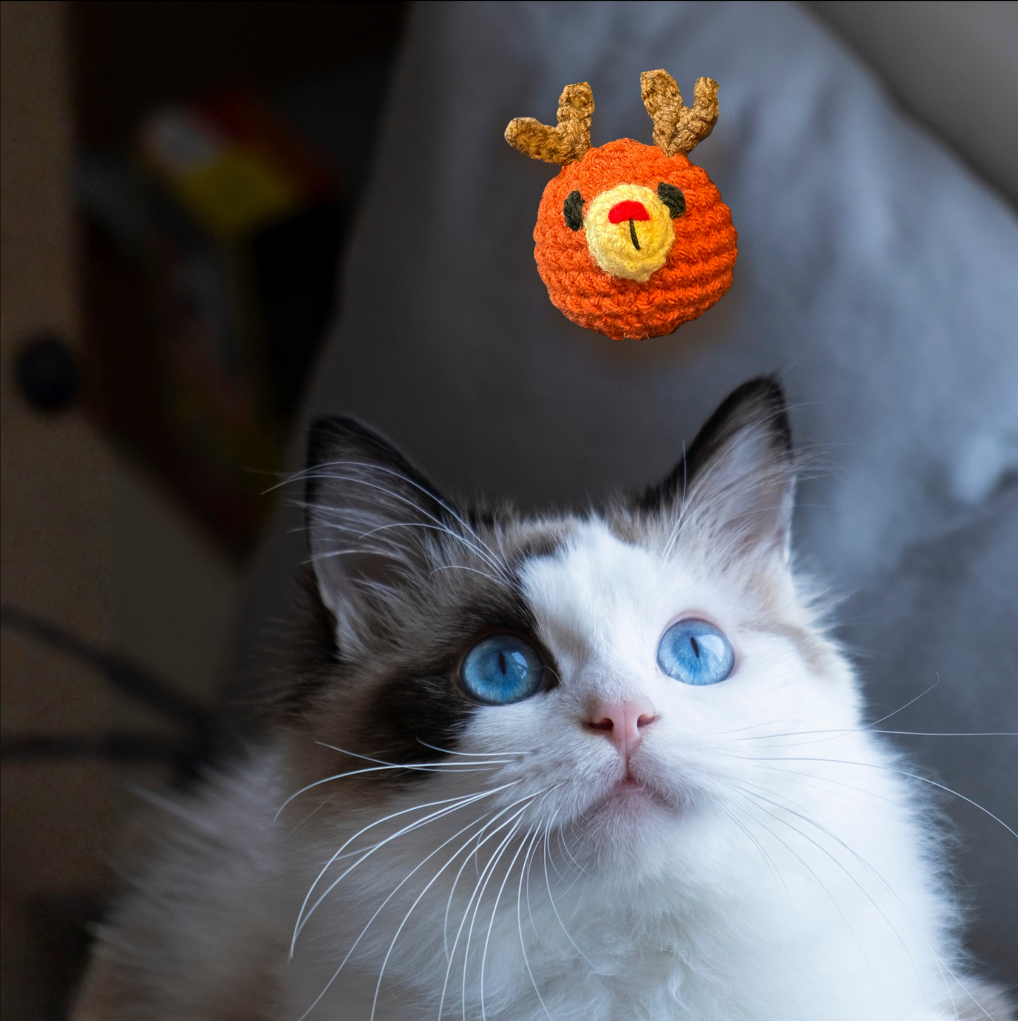 Cat with a small crochet reindeer toy on a blurred background to represent the round reindeer shaped Chunkle catnip toy infused with Miracle Nip botanicals by Minou Le-Mew