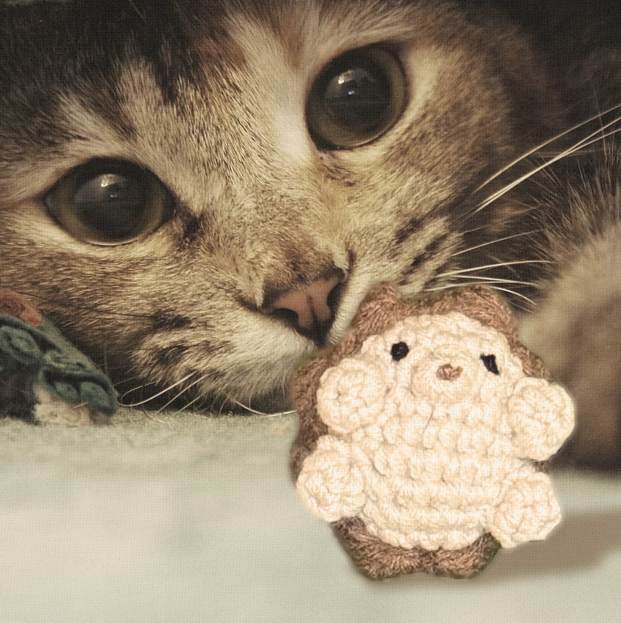 Cat playing with Harold the Hedgehog, a handmade Chunkle Puff catnip toy. Rounded woven body designed for batting, carrying, and playful chewing.