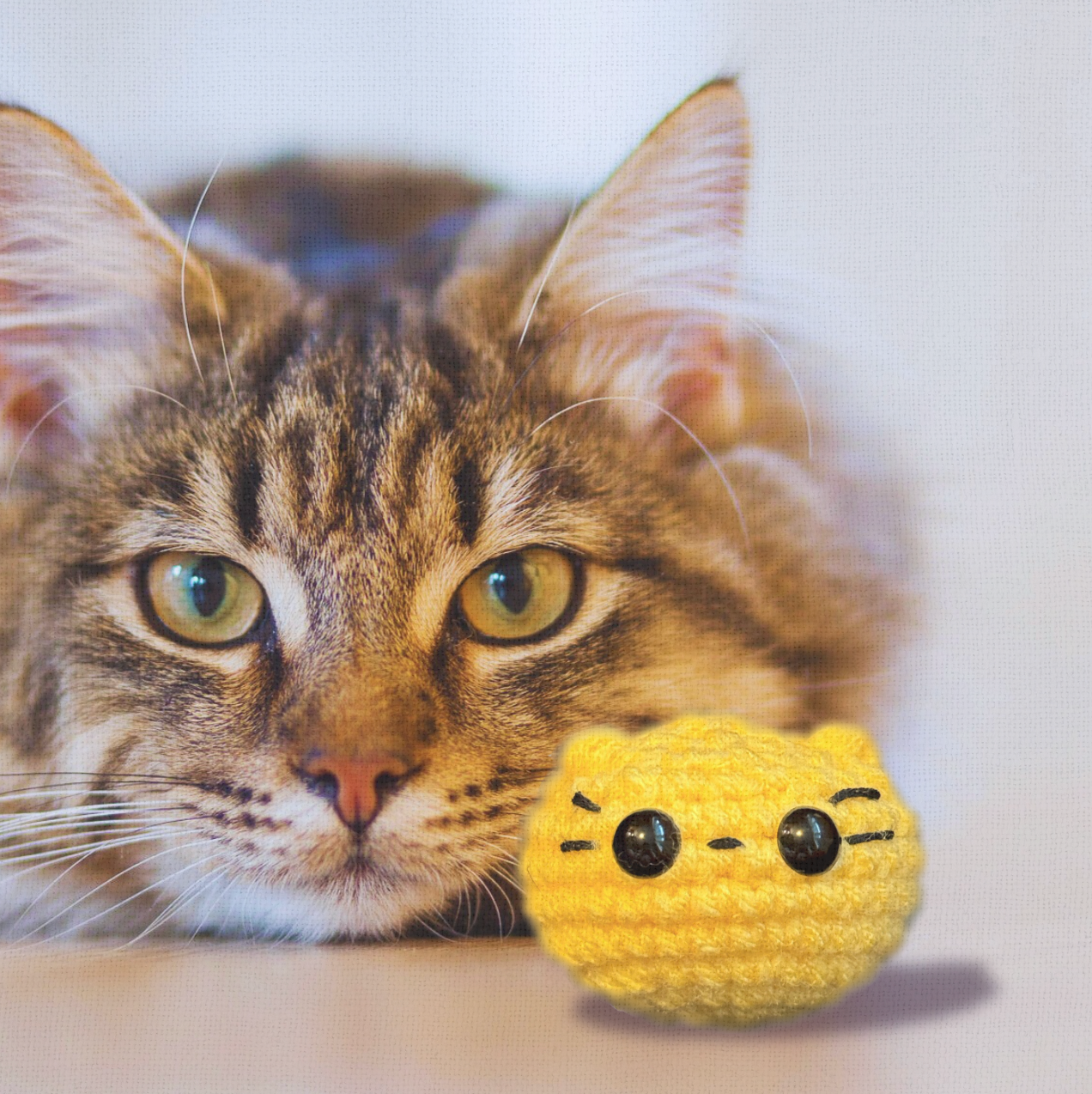 Cat lounging with Pippa the Chonk, a handmade weighted Chunkle Chunk catnip toy, shown tucked against the cat as a comforting and durable playmate