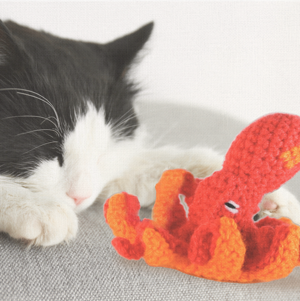Cat lounging with Julie the Kraken, a handmade Chunkle Puff catnip toy. The woven octopus-inspired form rests beside the cat, highlighting softness and refined design.