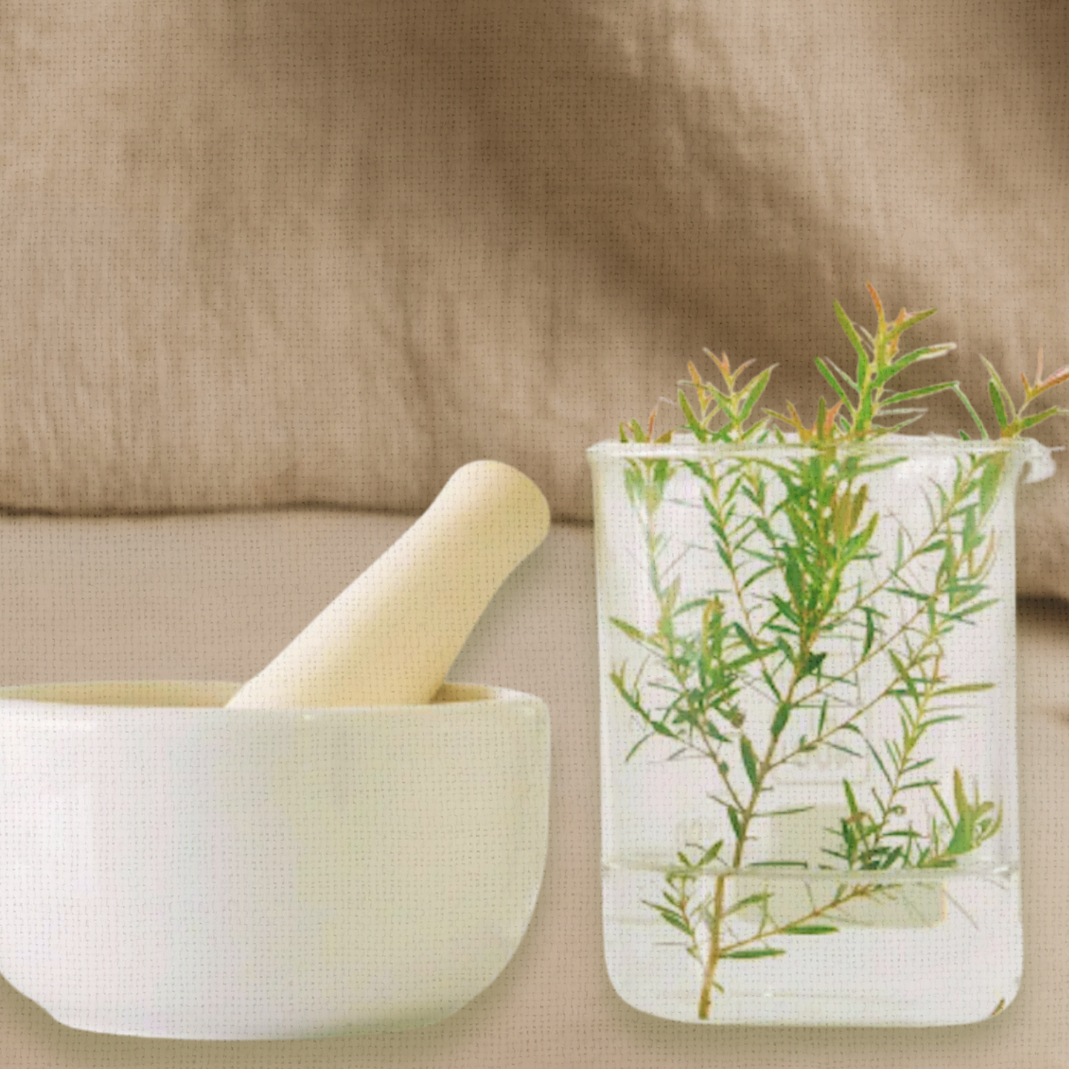 a mortar and pestle with a rosemary plant in a beaker with a natural fiber linen cloth backdrop.