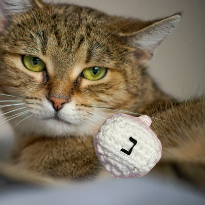 Very attractive brown cat with a dreidel on a blurred background to represent Chunkle catnip toy infused with Miracle Nip botanicals by Minou Le-Mew