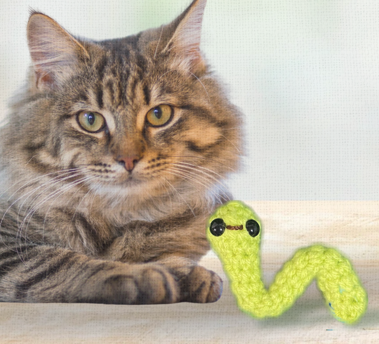 Cat lounging beside Noodle the Inchworm, a handmade Chunkle Puff catnip toy by Feline Grove. The elongated woven toy rests elegantly, emphasizing softness, durability, and boutique design.