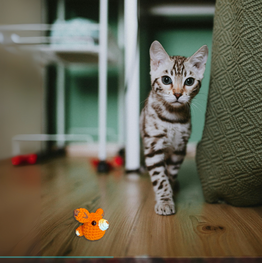 Cat peering at TJ the Fox, a handmade Chunkle Puff catnip toy from Feline Grove. The woven fox toy is batted and carried, demonstrating irresistible woodland charm and infused botanical scent.