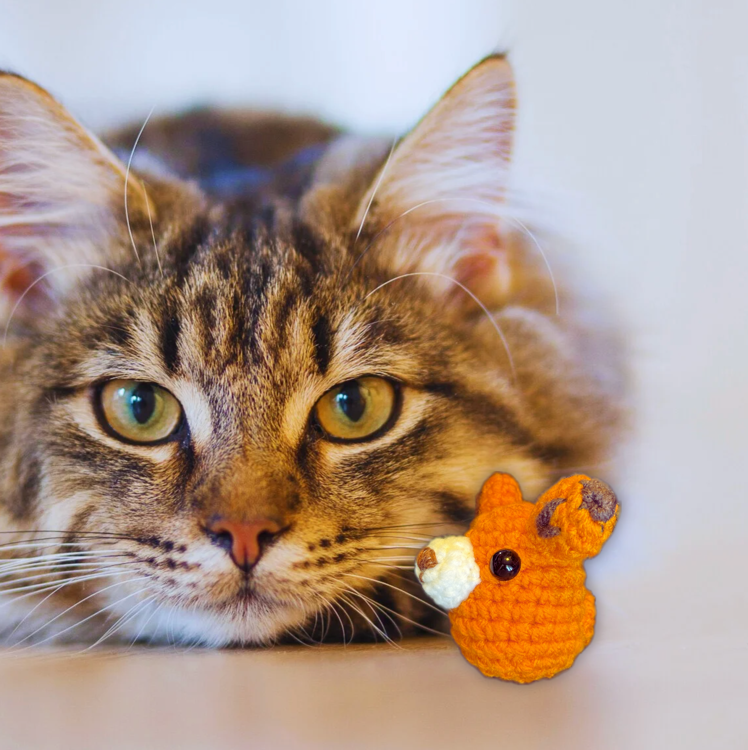 Cat lounging with TJ the Fox, a handmade Chunkle Puff catnip toy by Feline Grove. The woven fox rests beside the cat, emphasizing softness, durability, and boutique woodland play appeal.