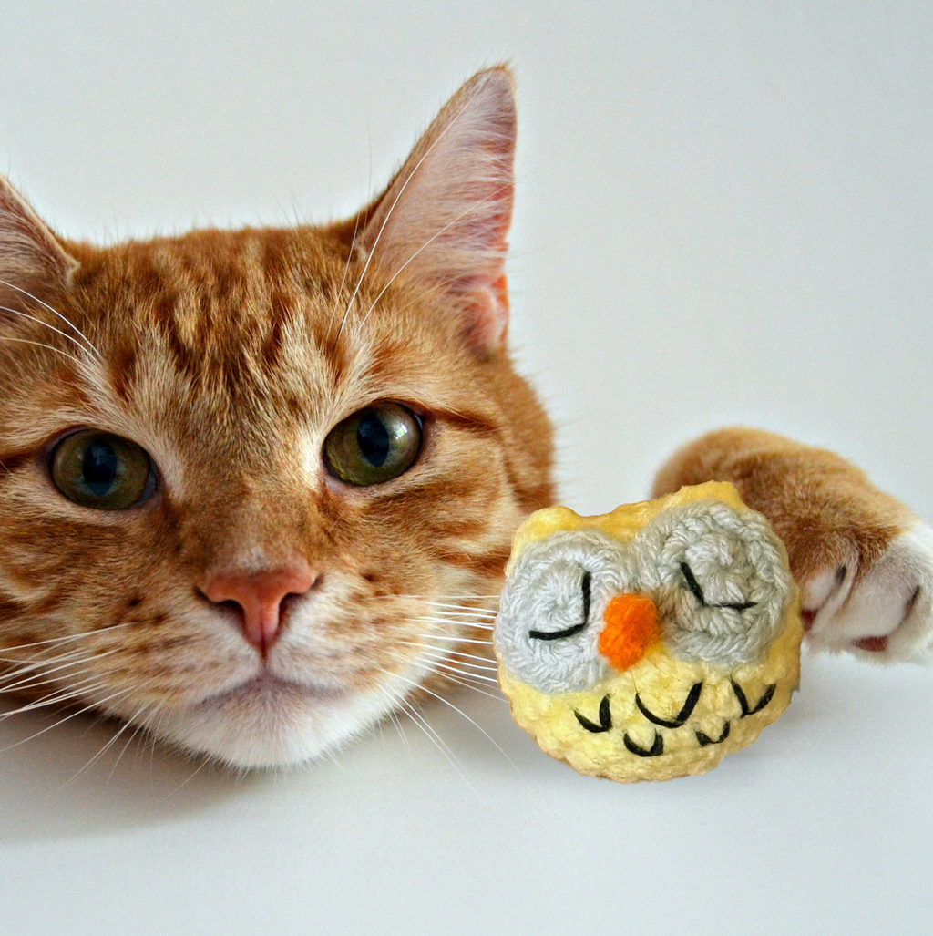 Cat lounging with Yolk the Owl, a handmade Chunkle Puff catnip toy by Feline Grove. The woven owl rests beside the cat, emphasizing softness, durability, and contemplative woodland play appeal.