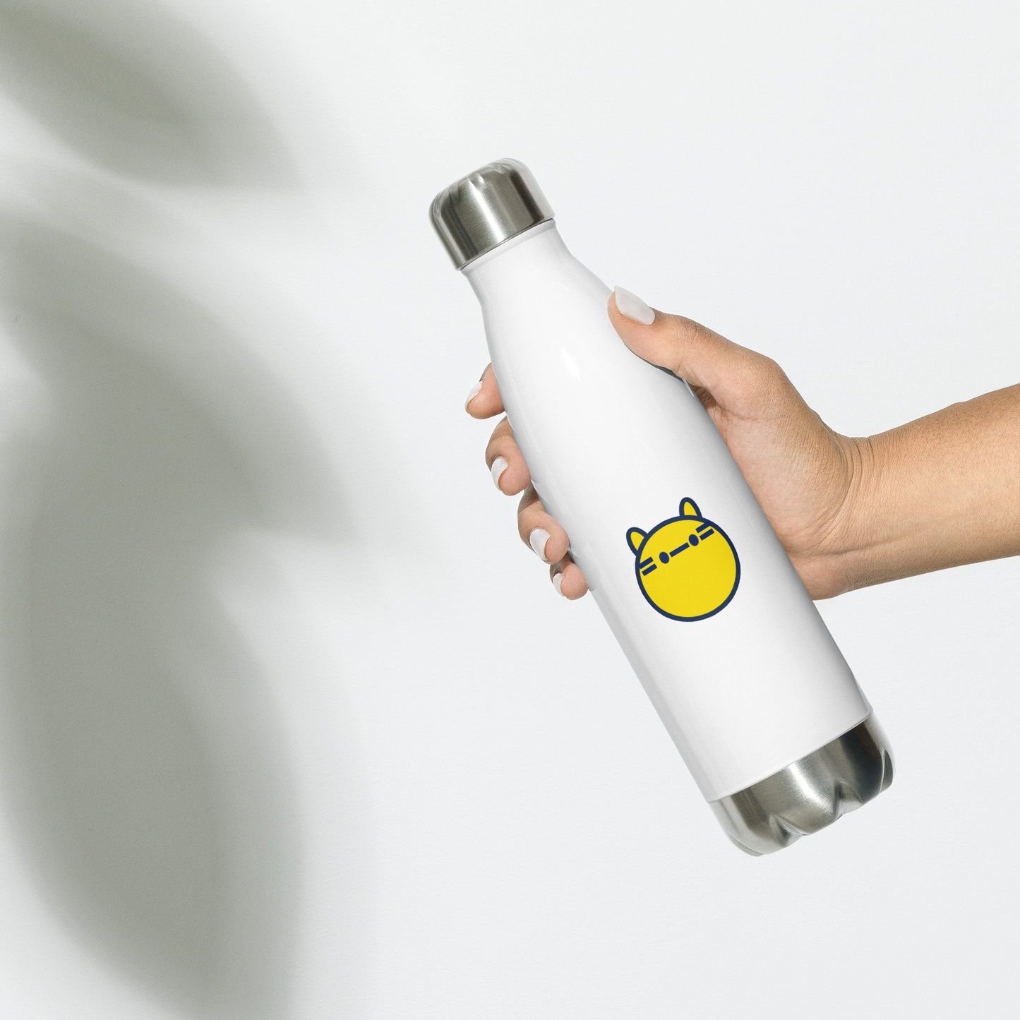 Stainless steel water bottle