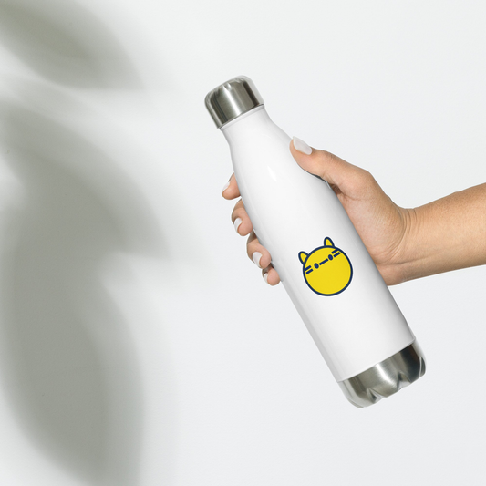 Stainless steel water bottle