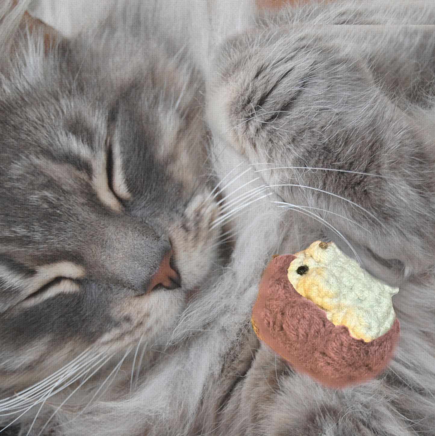 Gray cat snuggling with a small plush hedgehog shaped cat toy.