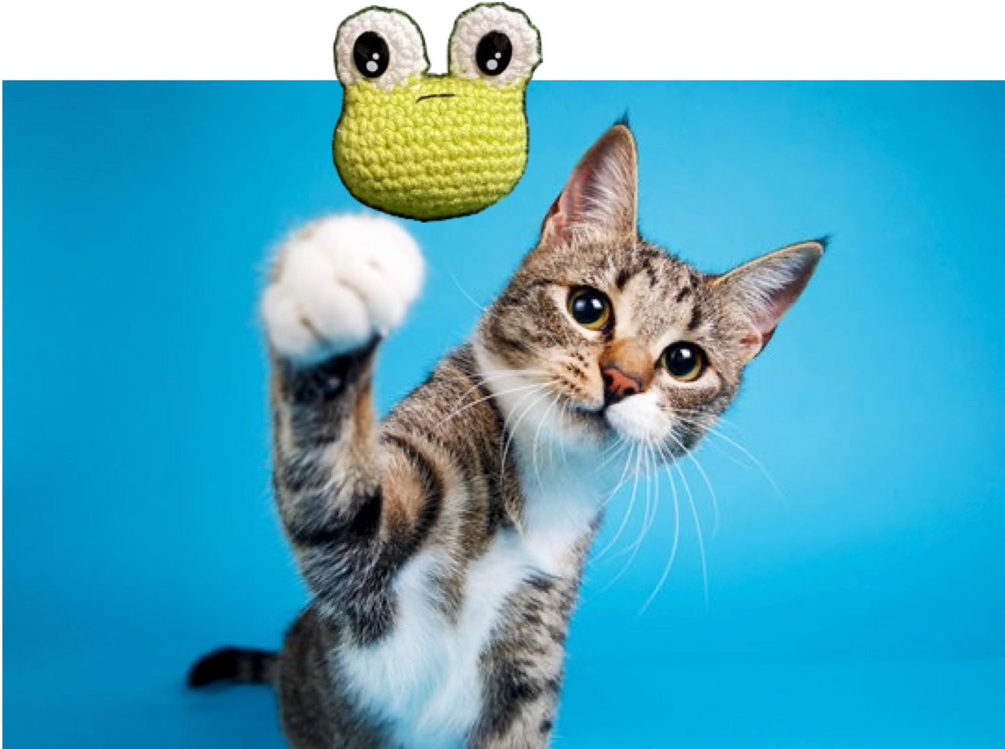 miso - chunkle chunk cat toy - frog