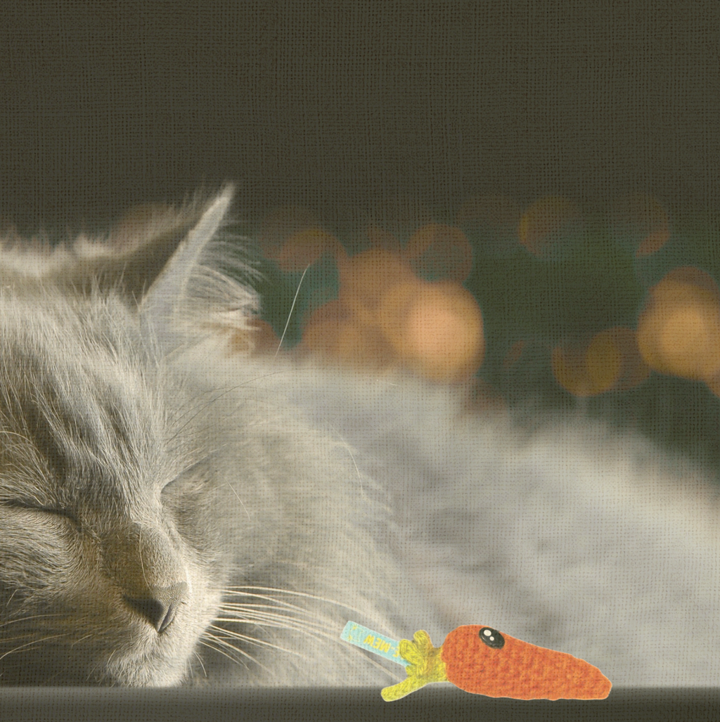 Cat lounging with Lulu the Carrot, a handmade Chunkle Puff catnip toy. The woven carrot form rests elegantly, highlighting softness, durability, and refined design.