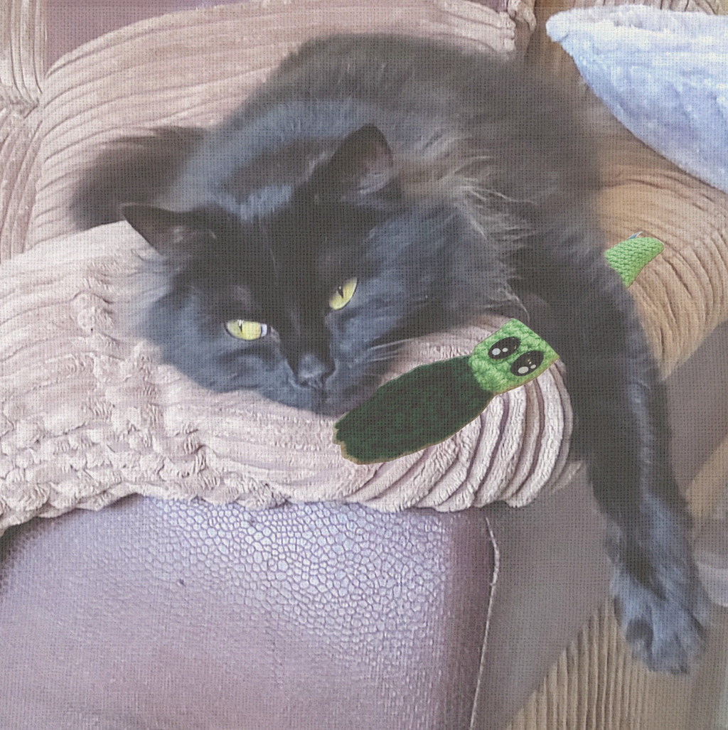 Cat lounging with Noodle the Inchworm, a handmade Chunkle Puff catnip toy. The elongated woven body rests beside the cat, highlighting softness and refined design.
