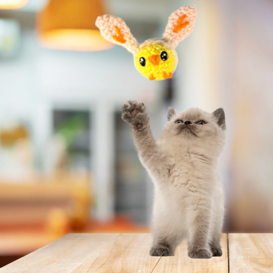 Walter the Chick – Chunkle Puff